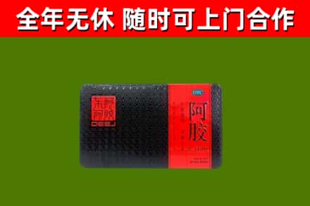 库车市回收阿胶