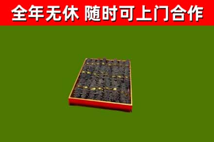 库车市回收海参
